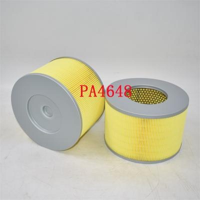 PA4648 فیلتر هوا SA8041 سازنده