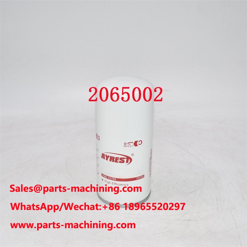 2065002 Fuel Filter