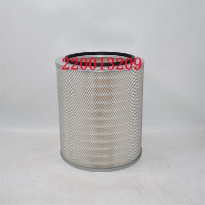 220013209 Air Filter