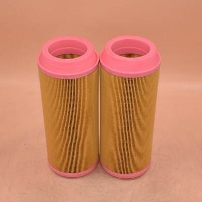 AF26389 Air Filter